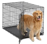 best crate for dogs