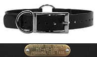 custom dog collar