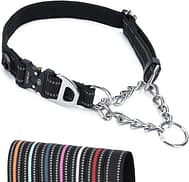 martingale collar for dogs