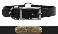 custom dog collar