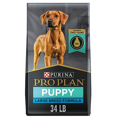 best puppy food