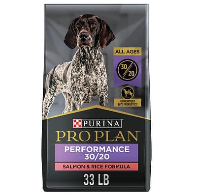 best dog food for labs
