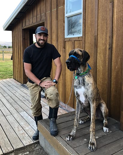 great dane dog training