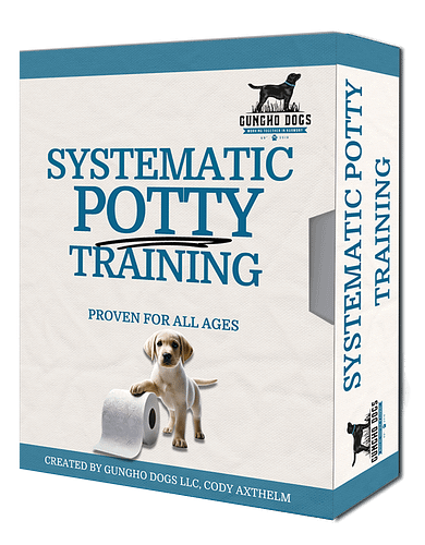 Systematic Potty Training For Puppies