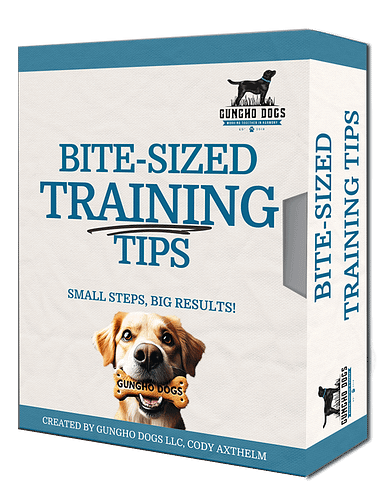 Bite-Sized Training Tips