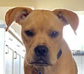 Screen Shot 2022-12-29 at 8.38.30 AM