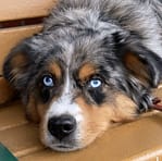 Screen Shot 2022-12-29 at 8.47.22 AM