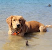 Screen Shot 2023-01-01 at 5.06.13 PM