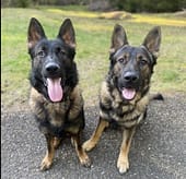 Screen Shot 2023-01-01 at 5.12.06 PM